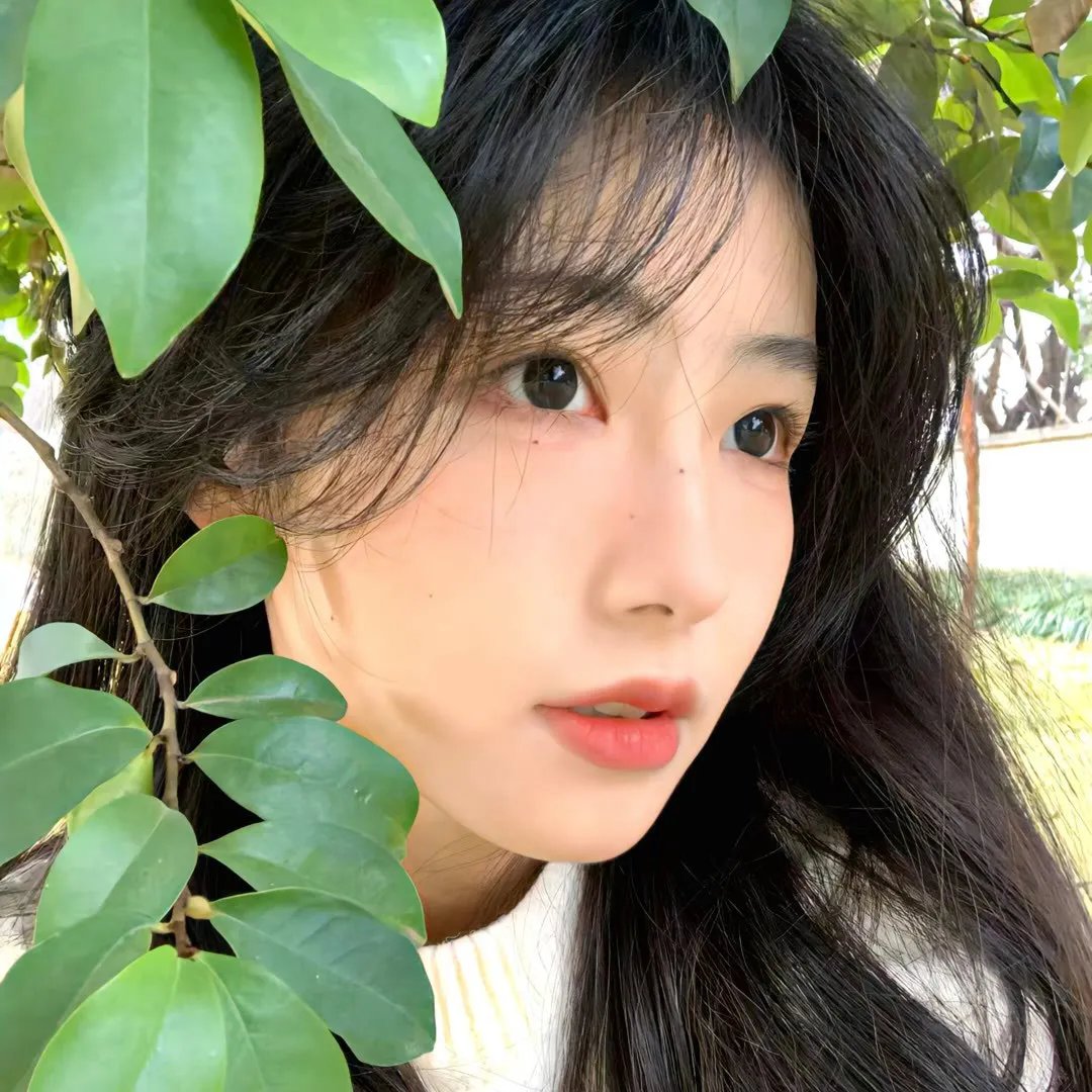 守护者们